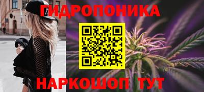 ешки Шелехов