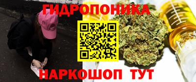 ешки Шелехов