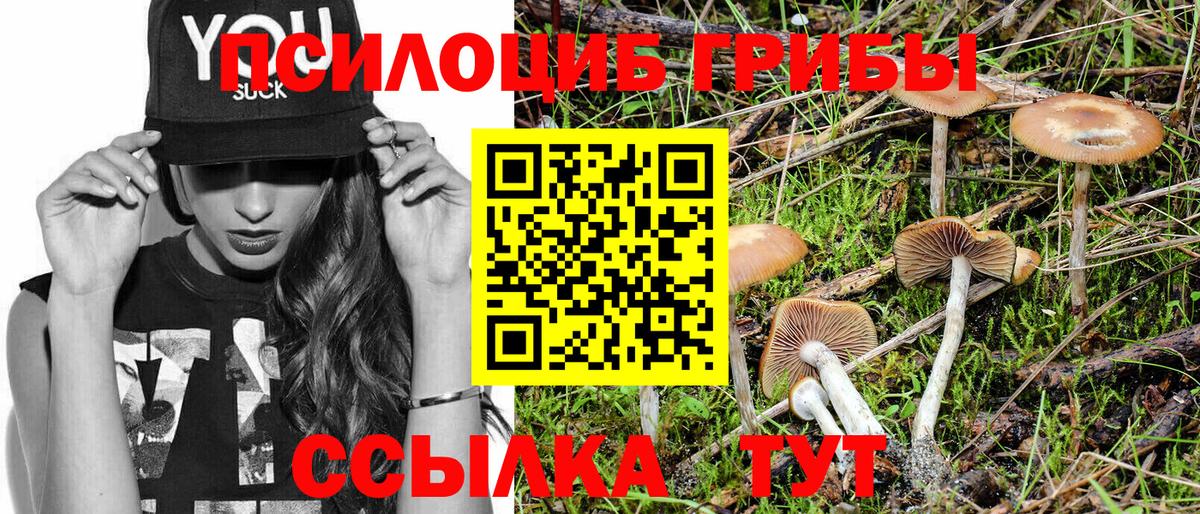 Псилоцибиновые грибы GOLDEN TEACHER Алейск