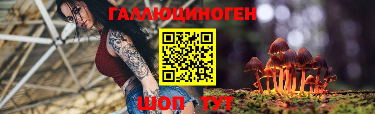 Алейск  Псилоцибиновые грибы GOLDEN TEACHER  Вход с VPN 